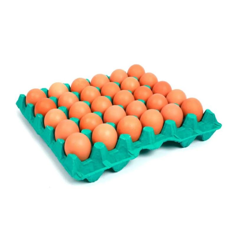 Ovo Vermelho Bandeja com 30 unidades