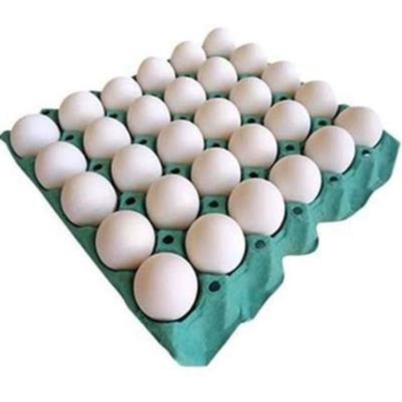 Ovo Branco Bandeja Com 30UN