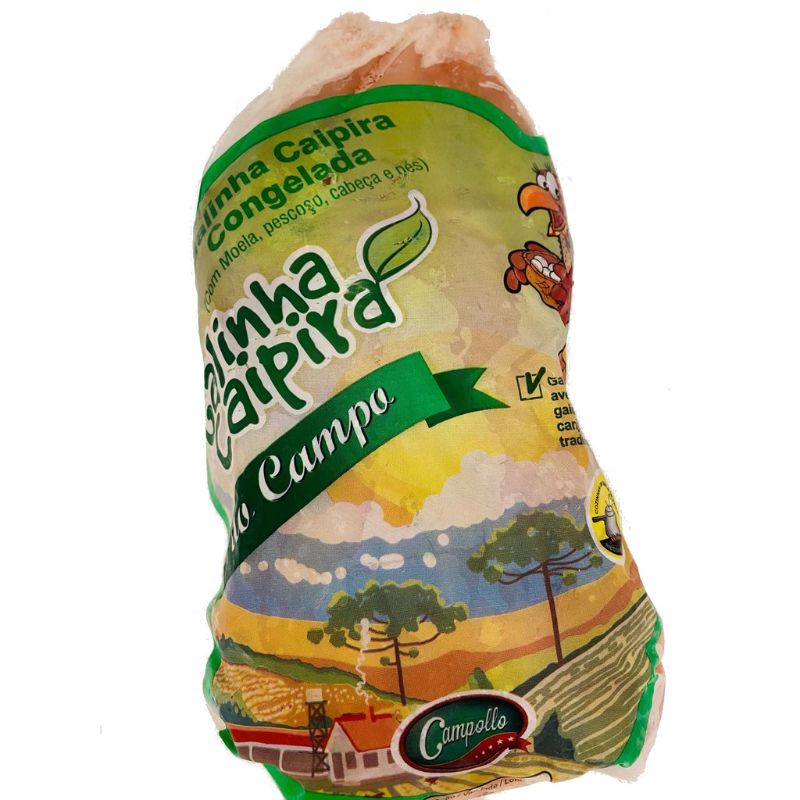 GALINHA CAIPIRA DO CAMPO