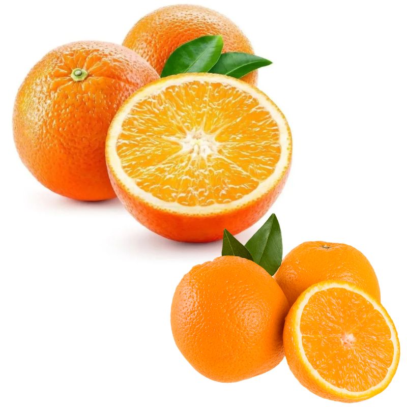 Laranja Bahia Importada Kg