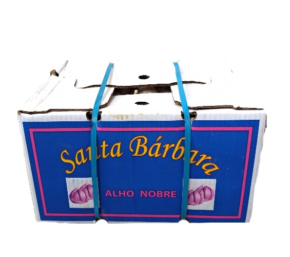 ALHO MEDIO CAIXA