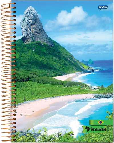 CADERNO JANDAIA ESR 1/4 BRASILIDADE -1X1 48FLS