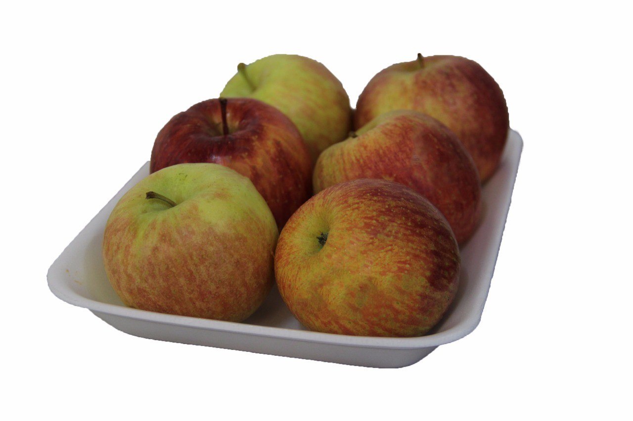 Maça Nacional Gala Graúda Kg