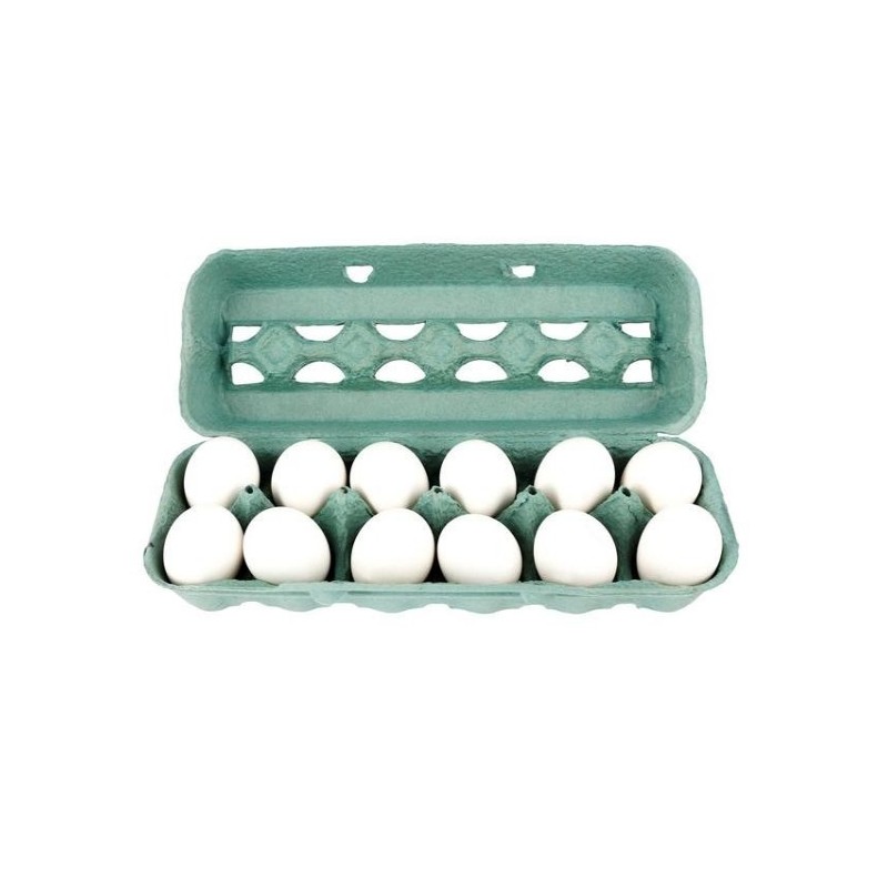 Ovo branco bandeja com 12 unidades
