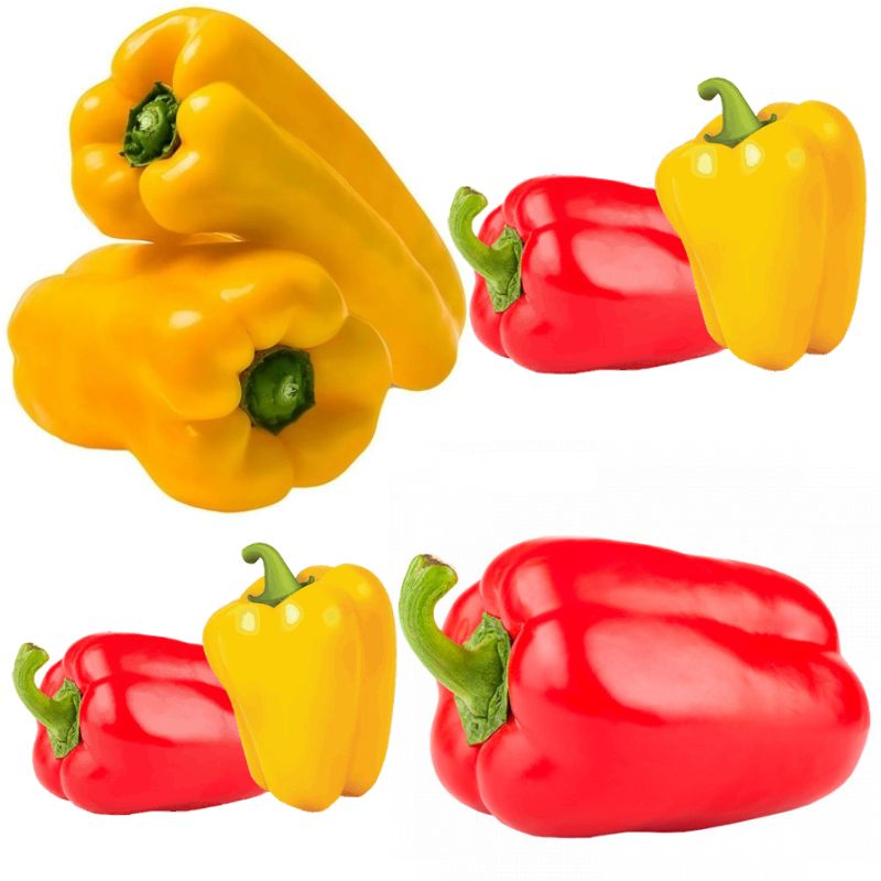 Pimentão Colorido Bandeja 500g