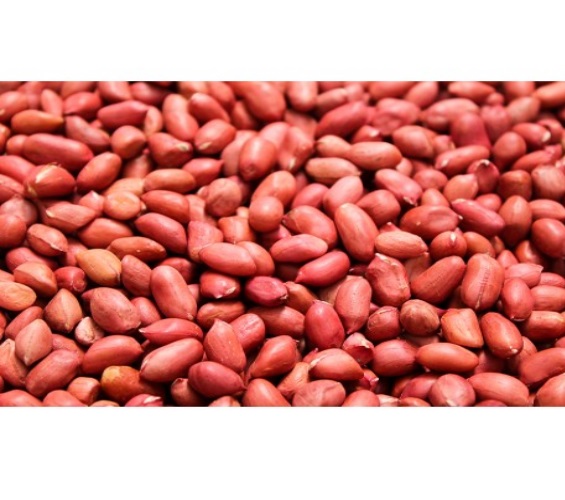 AMENDOIM CRU C/CASCA GRANEL